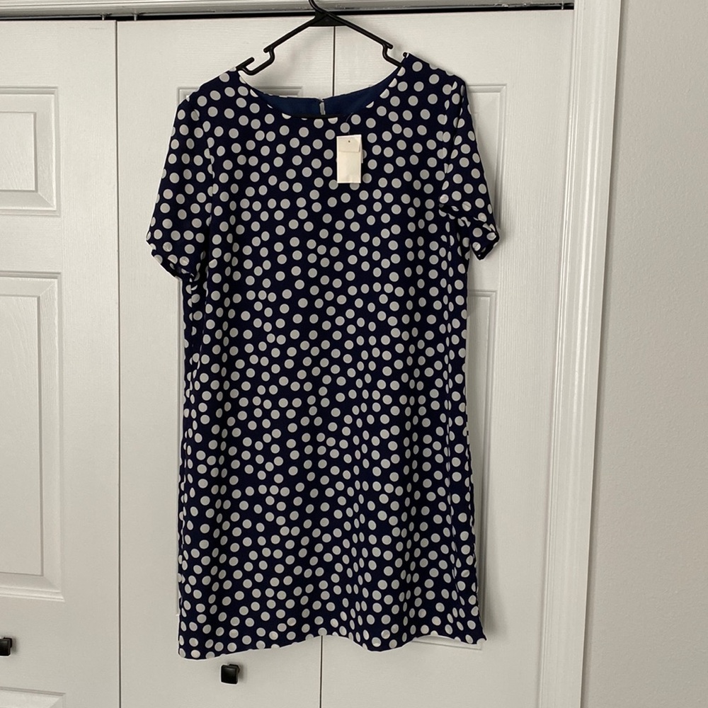 JCrew navy white polka dot shift dress. With tags
